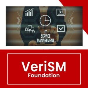 Examen VeriSM Foundation